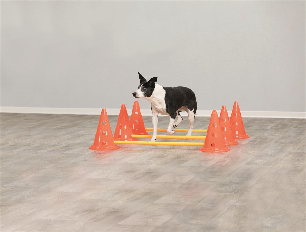 Trixie Dog Activity Hinderset 3 hinder - ø23×30cm & 78cm