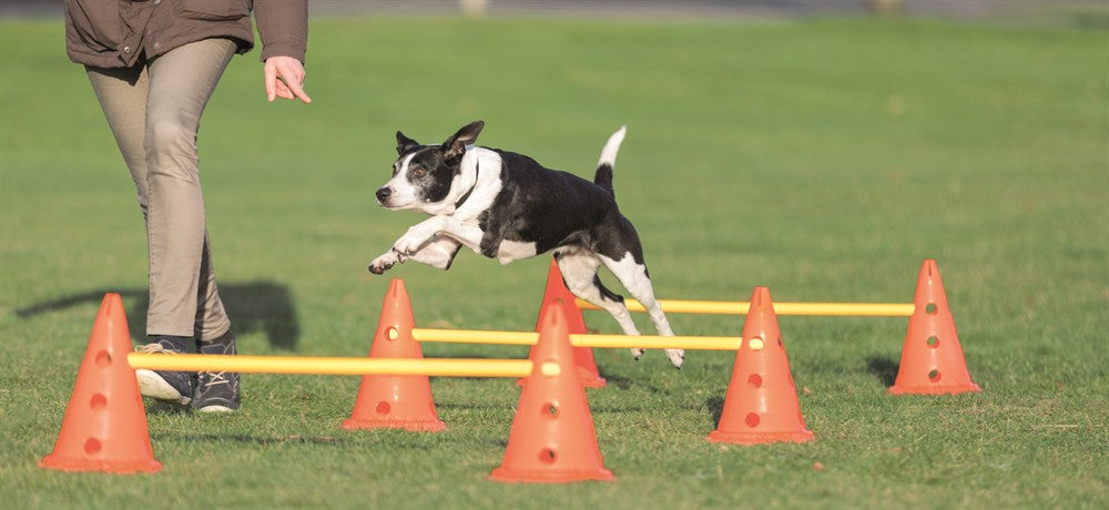 Trixie Dog Activity Hinderset 3 hinder - ø23×30cm & 78cm