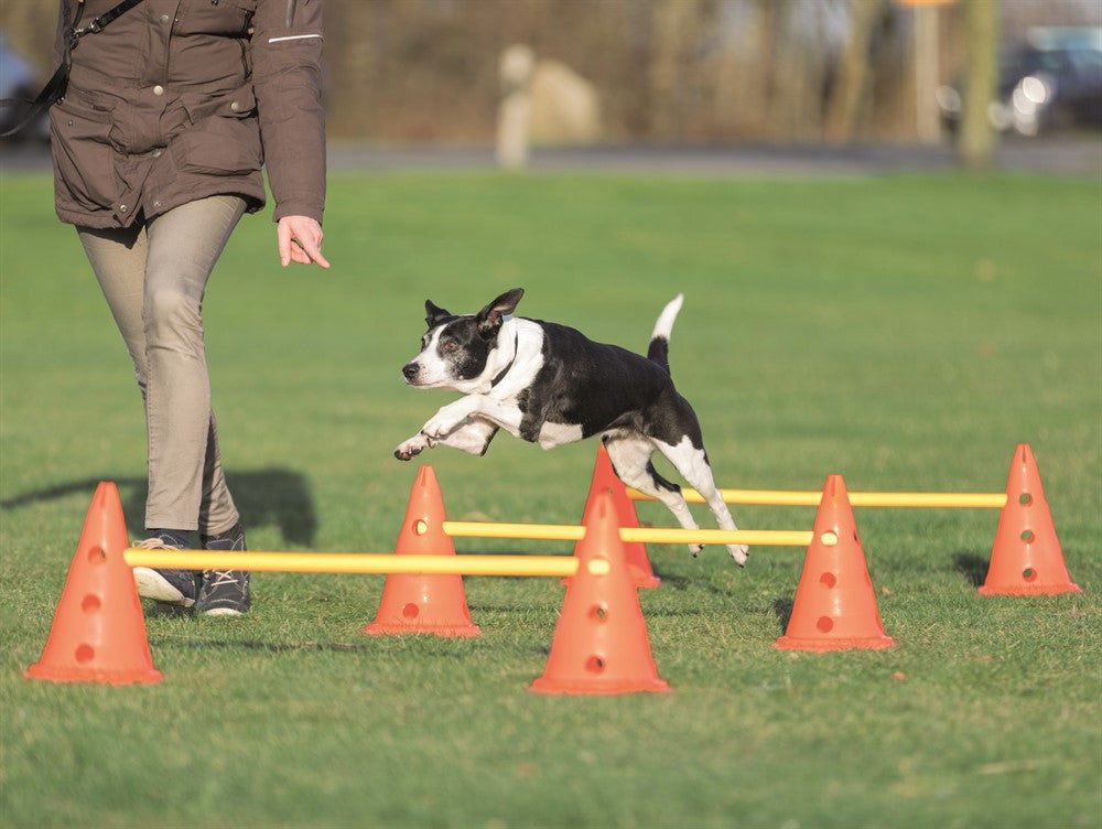 Trixie Dog Activity Hinderset 3 hinder - ø23×30cm & 78cm