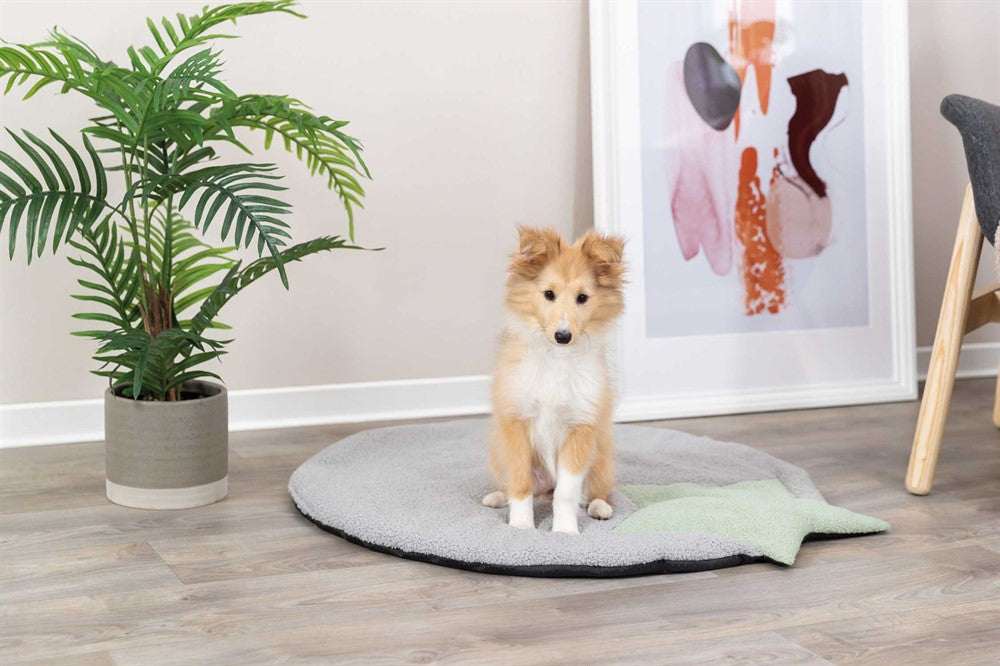 Trixie Junior Dyna 86×80 cm - Grå/mint