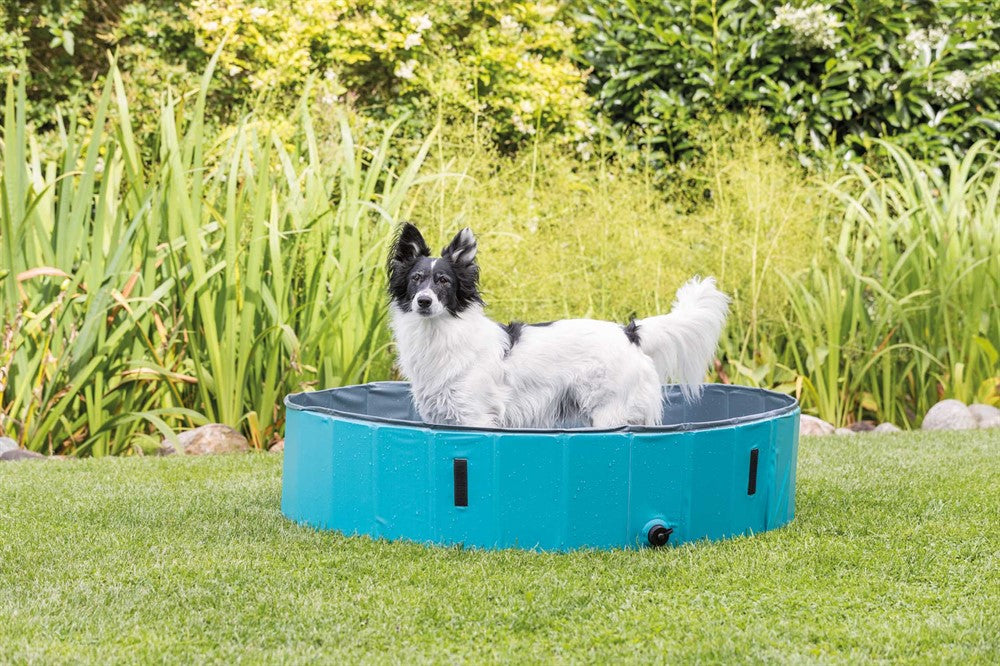 Trixie Hundpool ø 10×30 cm - Petrol