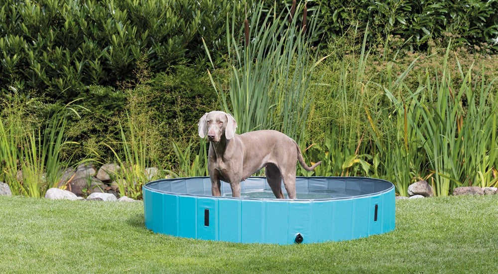 Trixie Hundpool ø 10×30 cm - Petrol