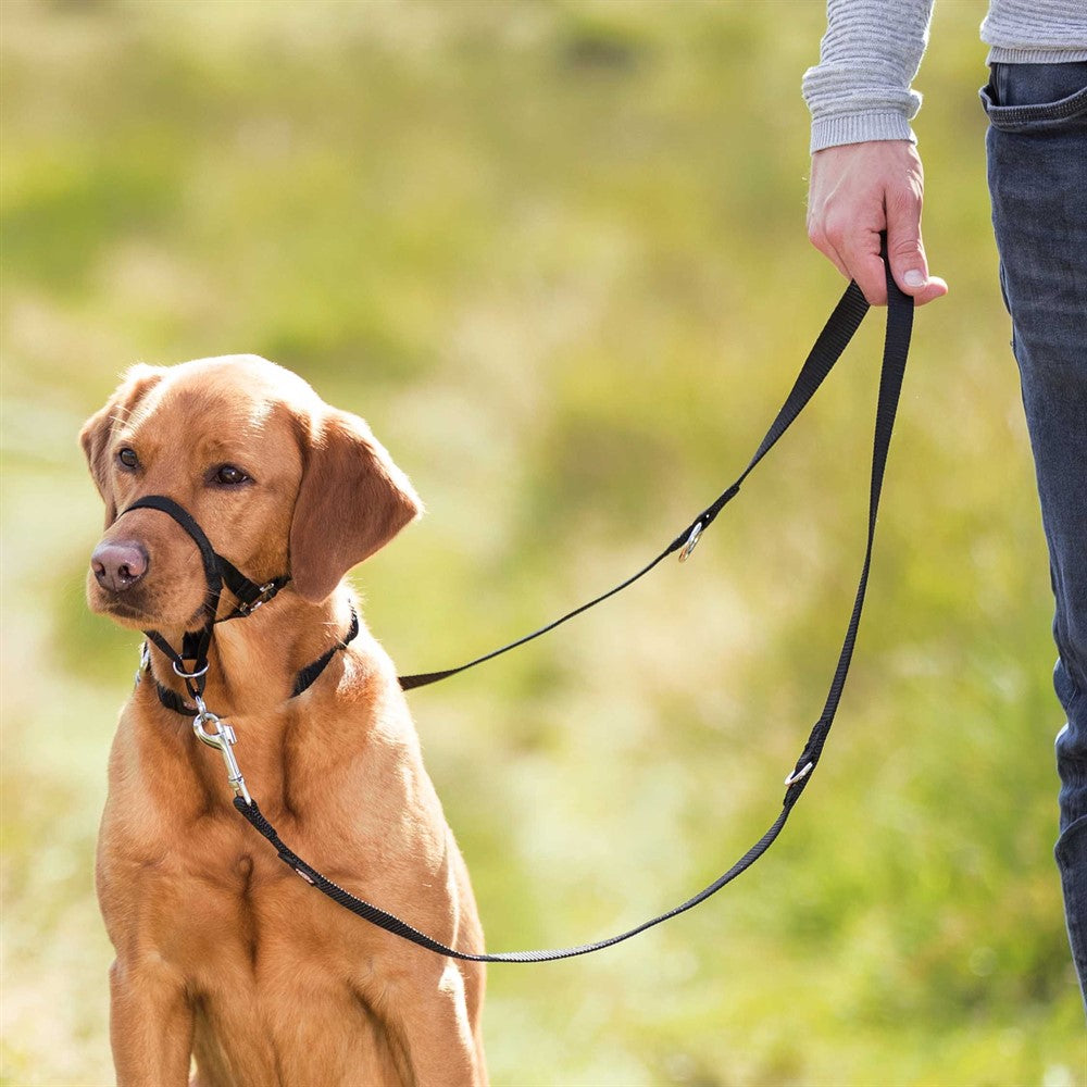 Trixie Nossele Top-trainer - Svart