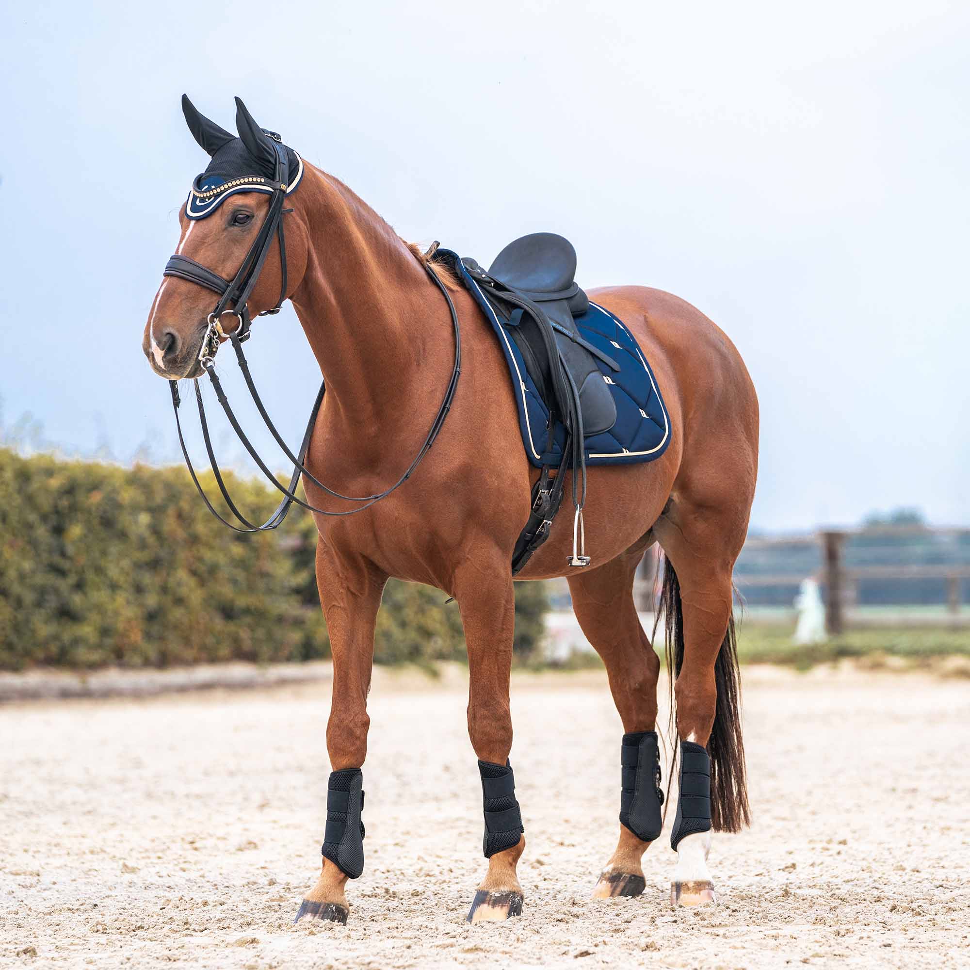 Back on Track Nights Collection Schabrak Hopp – Noble Blue