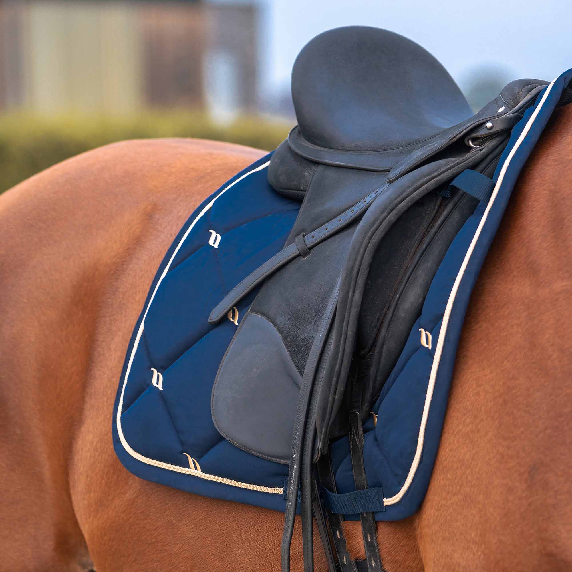 Back on Track Nights Collection Schabrak Dressyr – Noble Blue