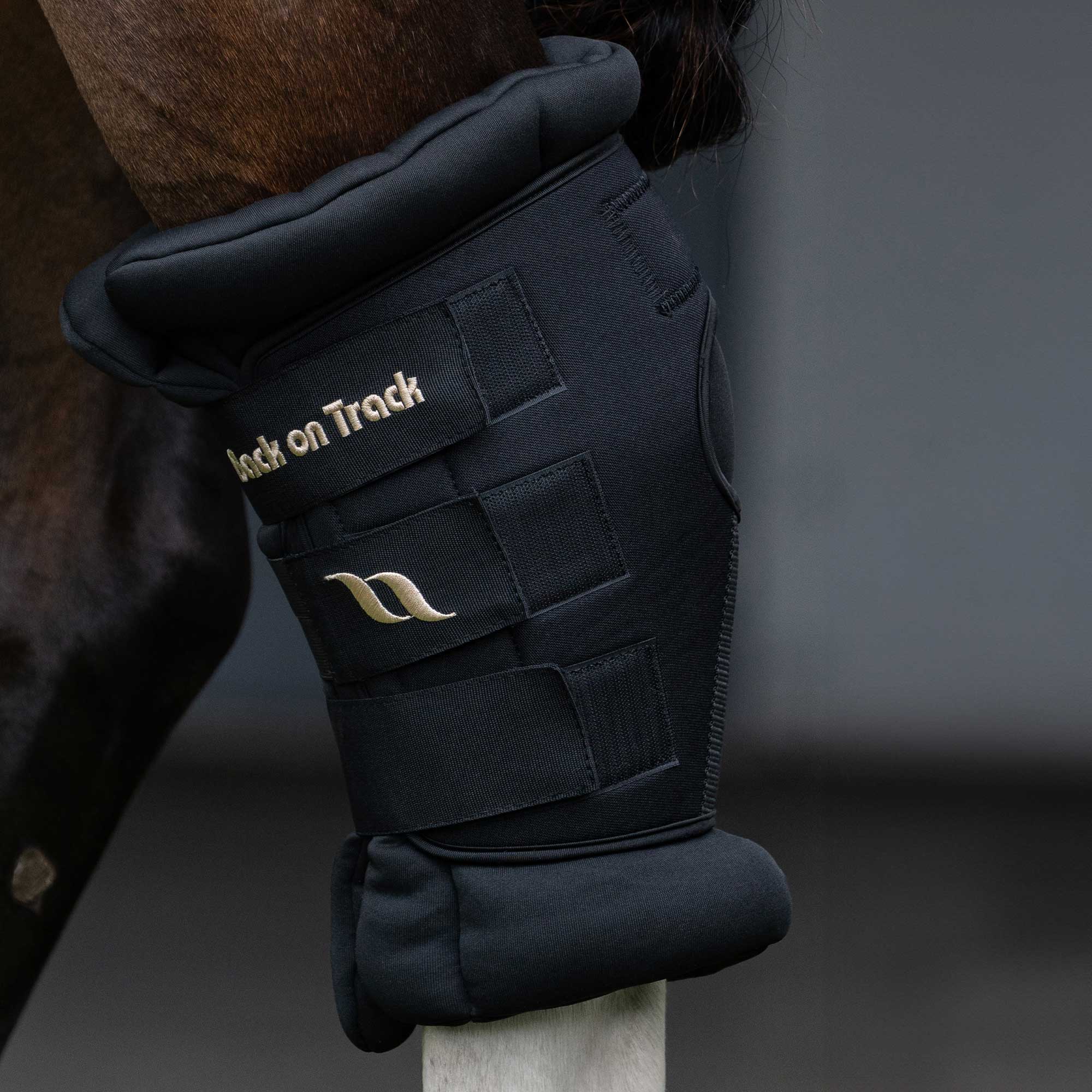 Back on Track Royal Hasskydd Deluxe – Svart