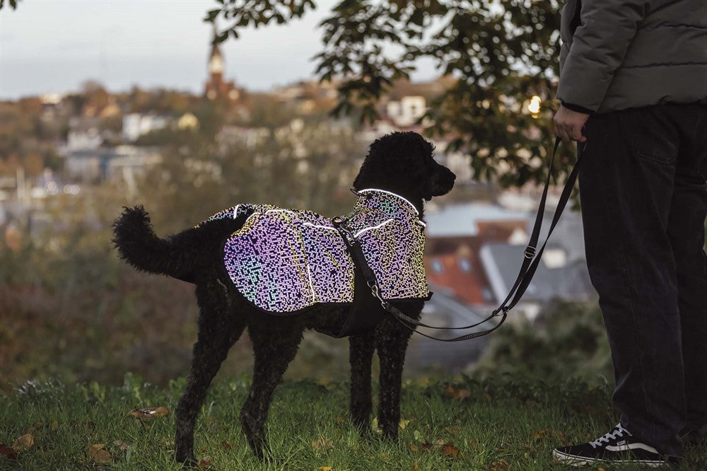 Trixie Limoux reflextäcke