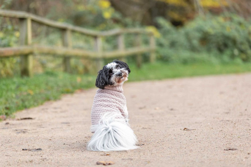 Trixie Pullover Norwood - Blush