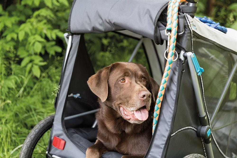 Trixie Cykelvagn quick-fold M: 63×95×90/132 cm - Grå