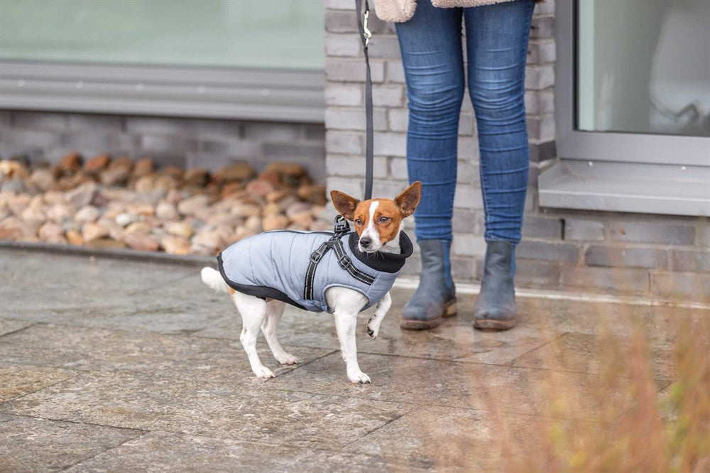 Trixie Pontis täcke med sele - Grå