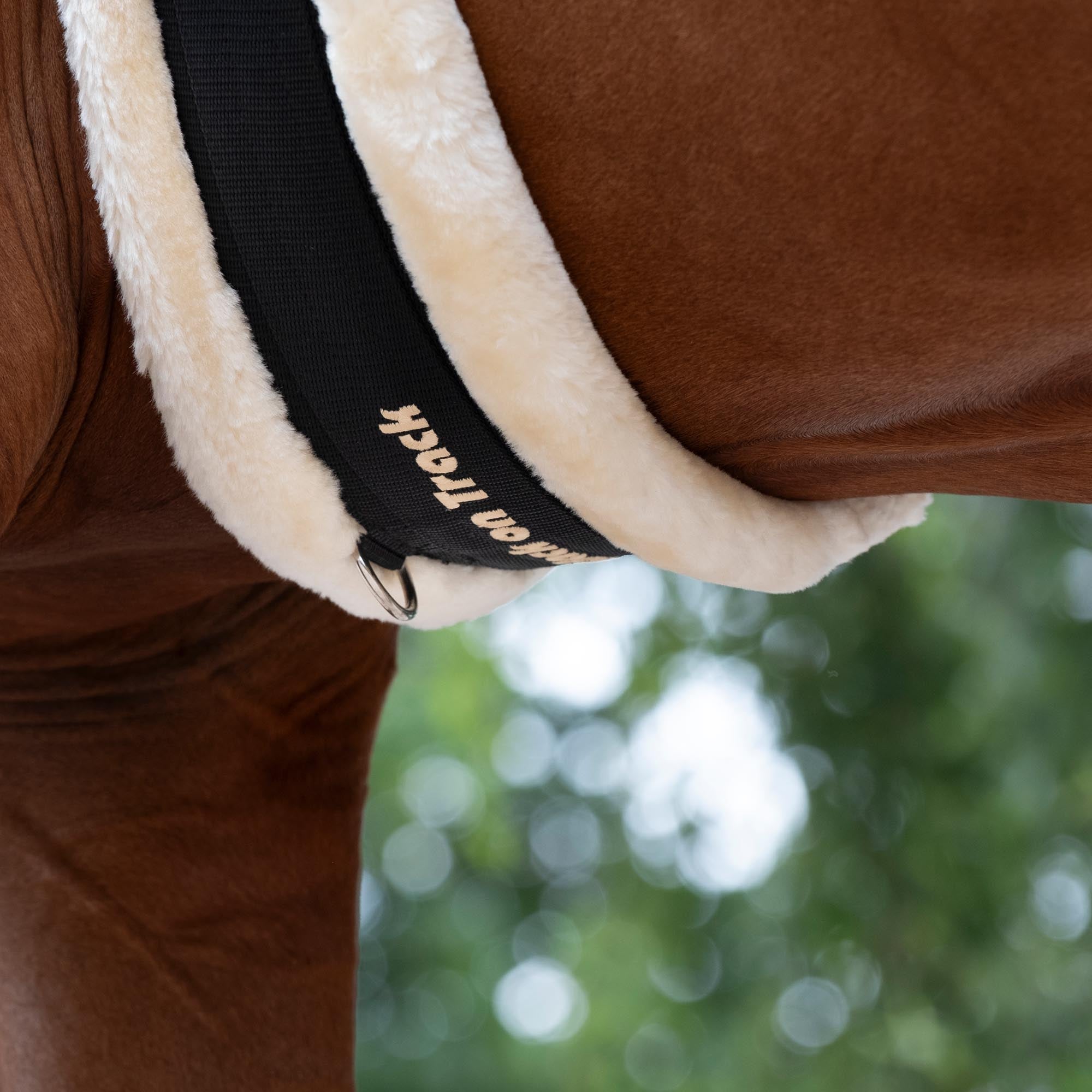 Back on Track All-round Sadelgjord med konstpäls style Dalby – Svart