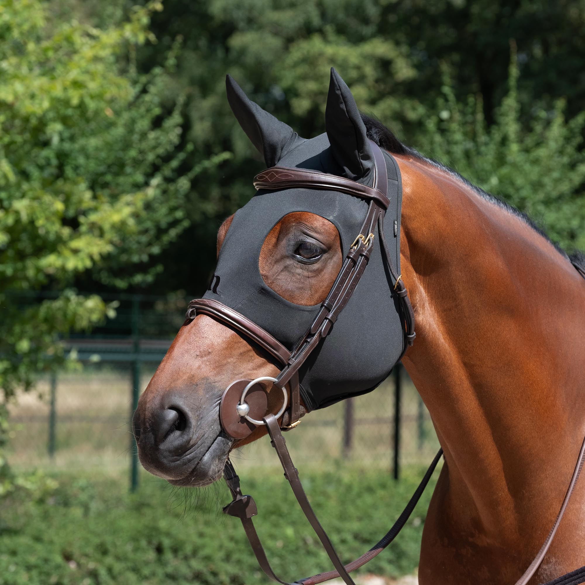 Back on Track Stresshuva med öron style Spirit – Svart
