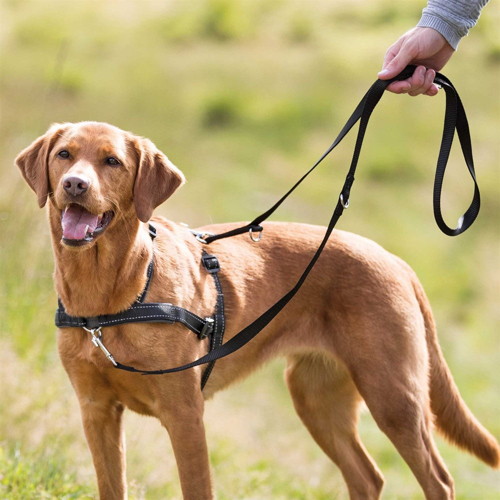 Trixie Lead'n'Walk Soft träningssele cm/25 mm - Svart