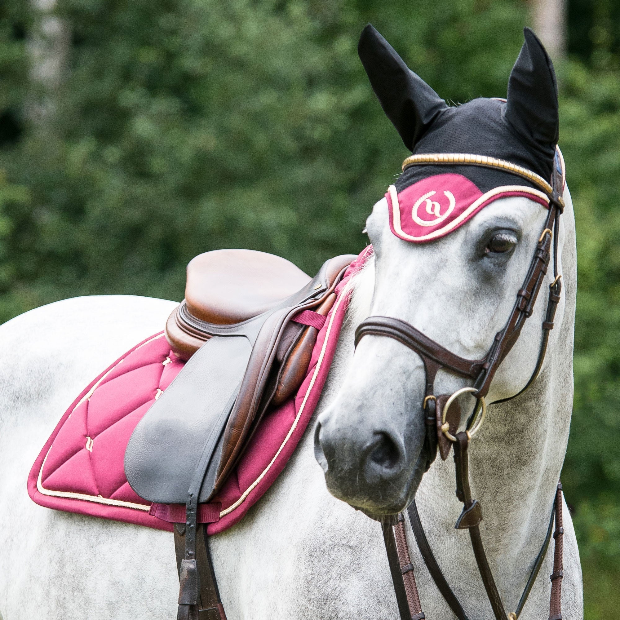 Back on Track Nights Collection Schabrak Dressyr – Röd