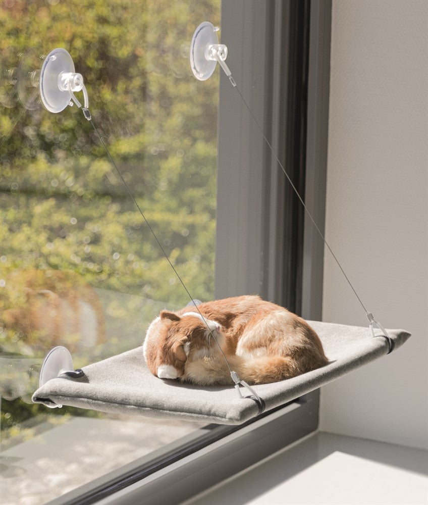Trixie Fönsterdyna katt med sugkoppar 50×30 cm - Grå