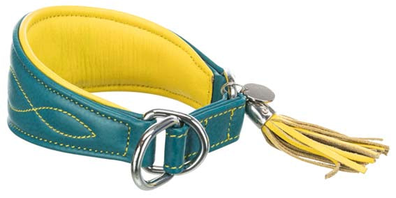 Trixie Active Comfort halsband för vinthund XS/S: 24-31 cm/50 mm - petrol
