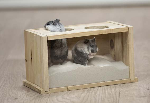 Trixie Sandbad mus/hamster Trä 20×12×12 cm