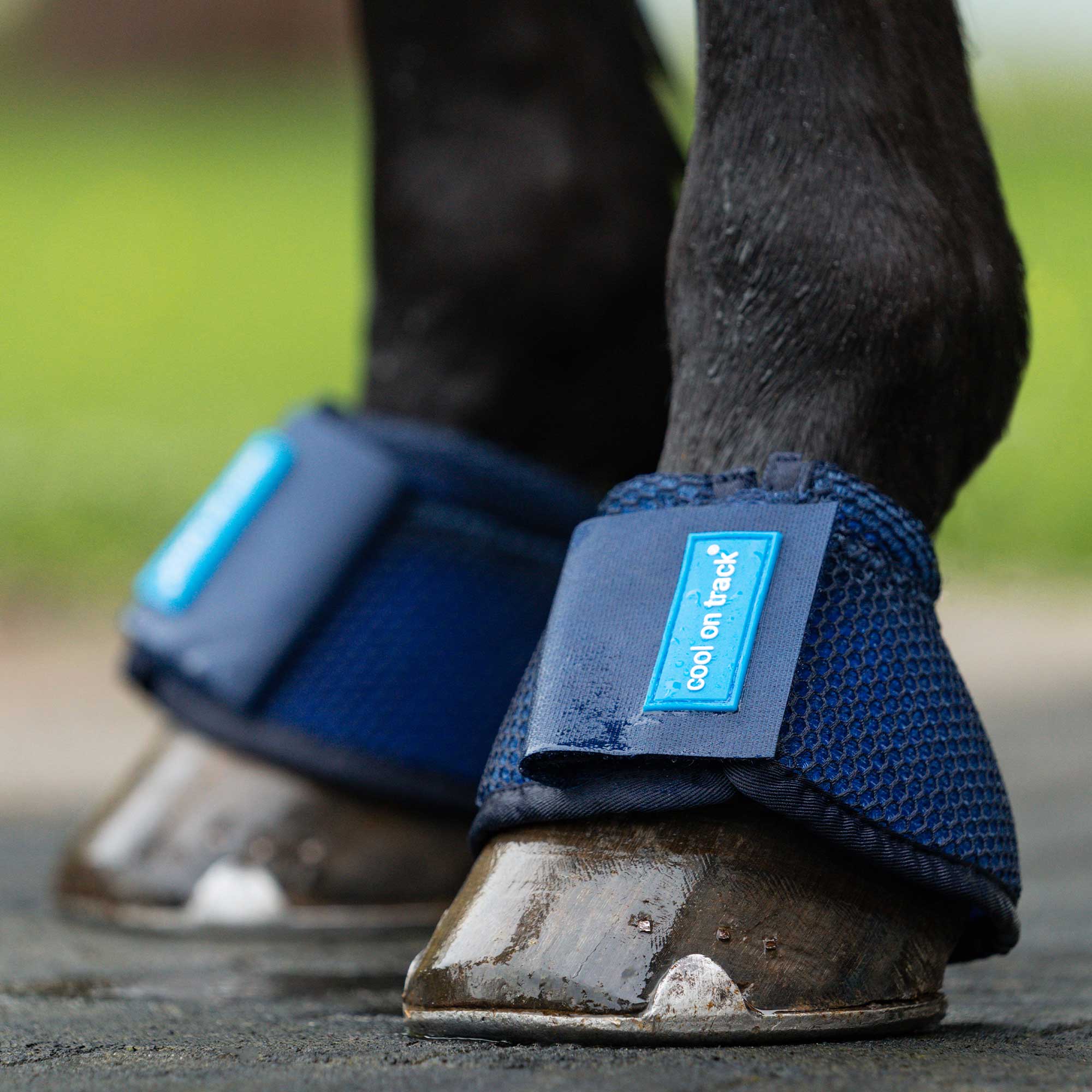 Back on Track Cool on Track Kylande Boots – Blå
