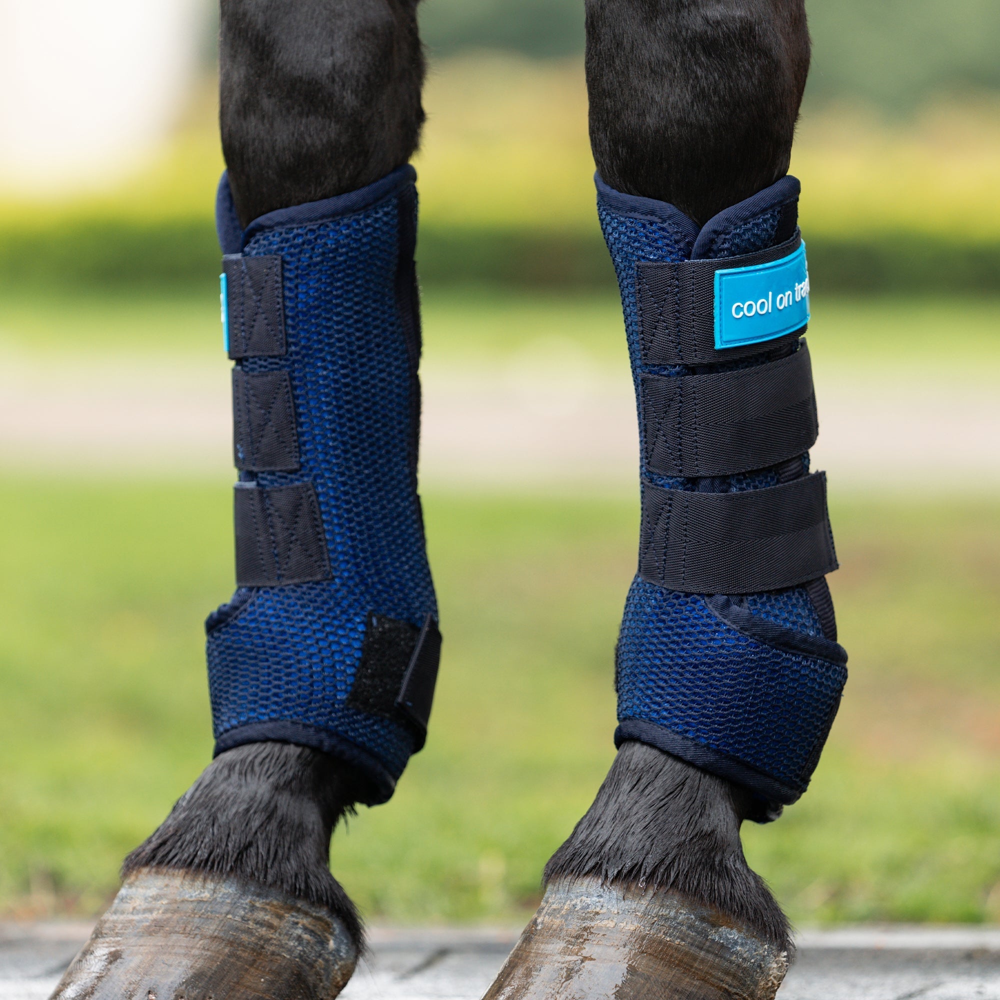 Back on Track Cool on Track Kylande Quick Wraps – Blå