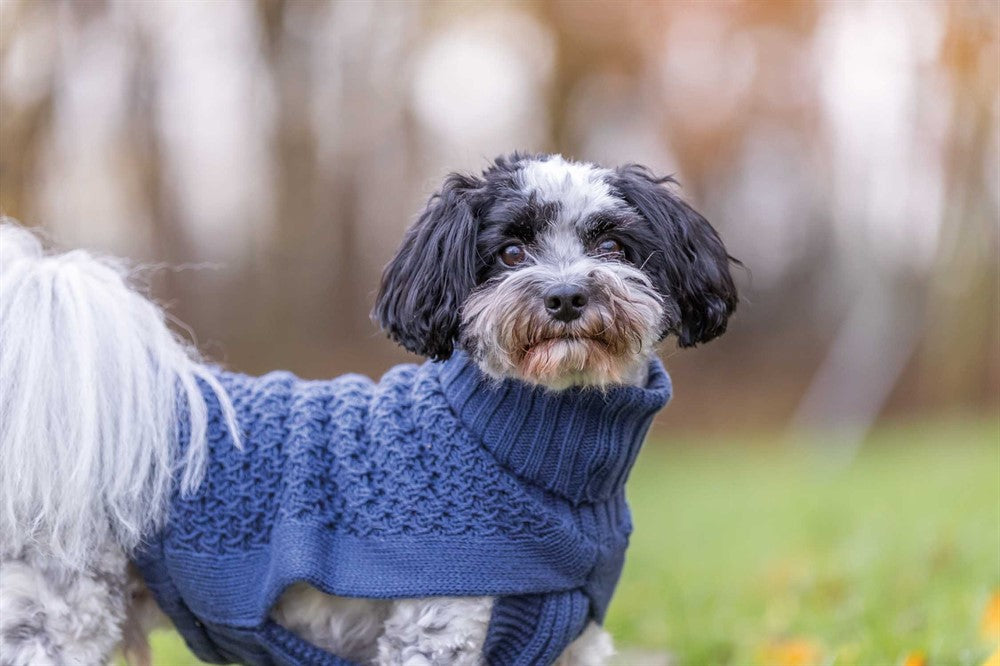 Trixie Pullover Norwood - Blå