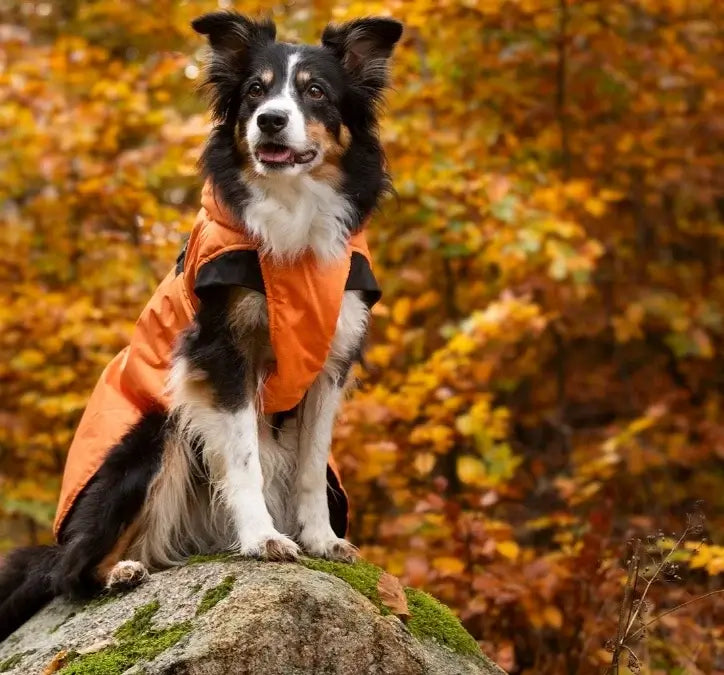 Dogman Pom Vintertäcke - Orange