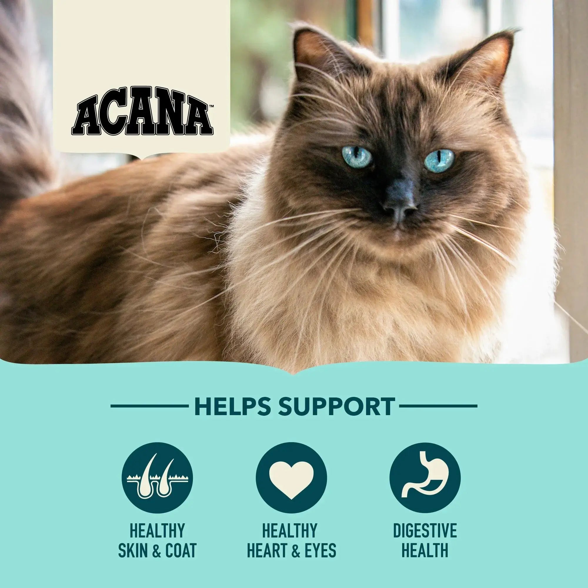 Acana Adult Bountiful Catch Torrfoder För Katt