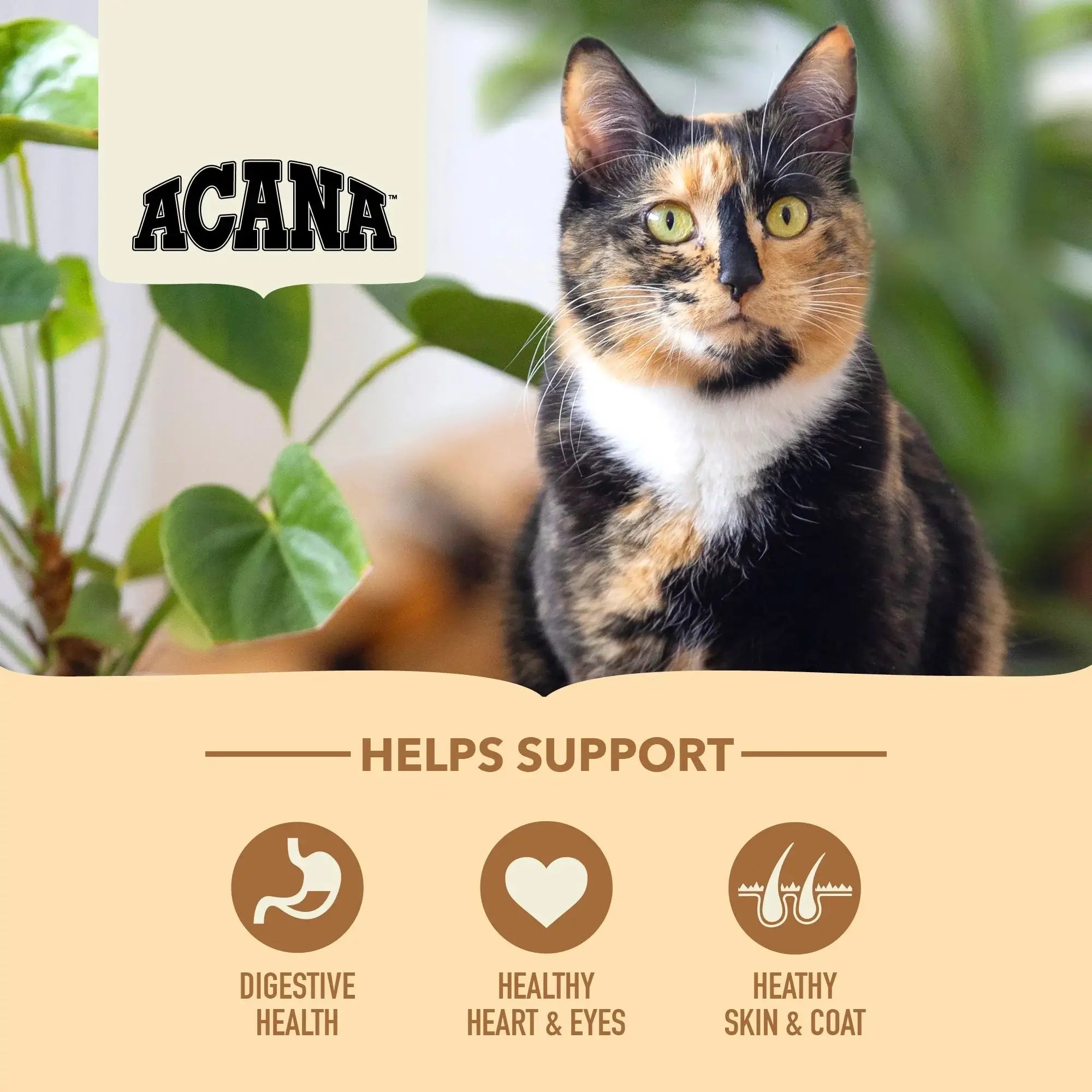 Acana Adult Homestead Harvest Torrfoder För Katt