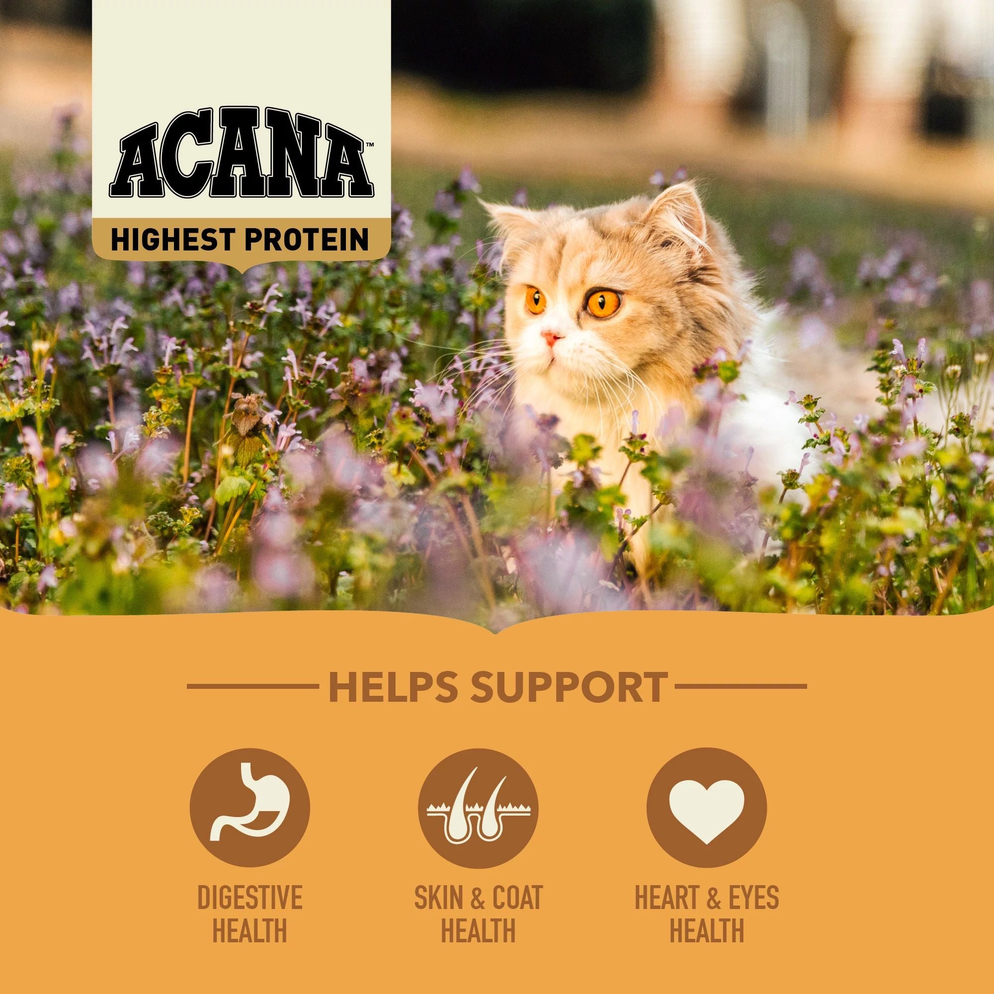 Acana Wild Prairie Torrfoder För Katt
