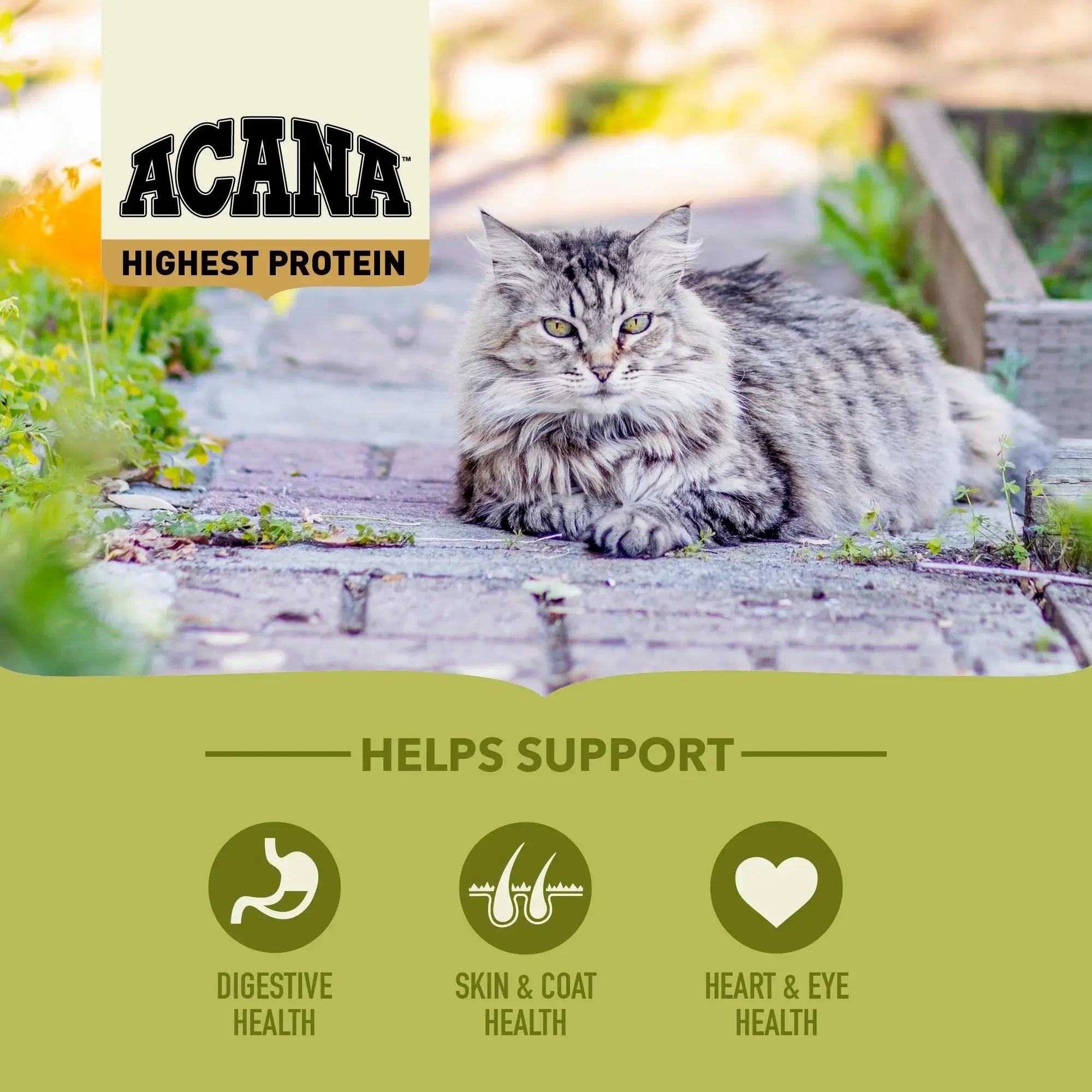 Acana Cat & Kitten Grasslands - Torrfoder Till Katt