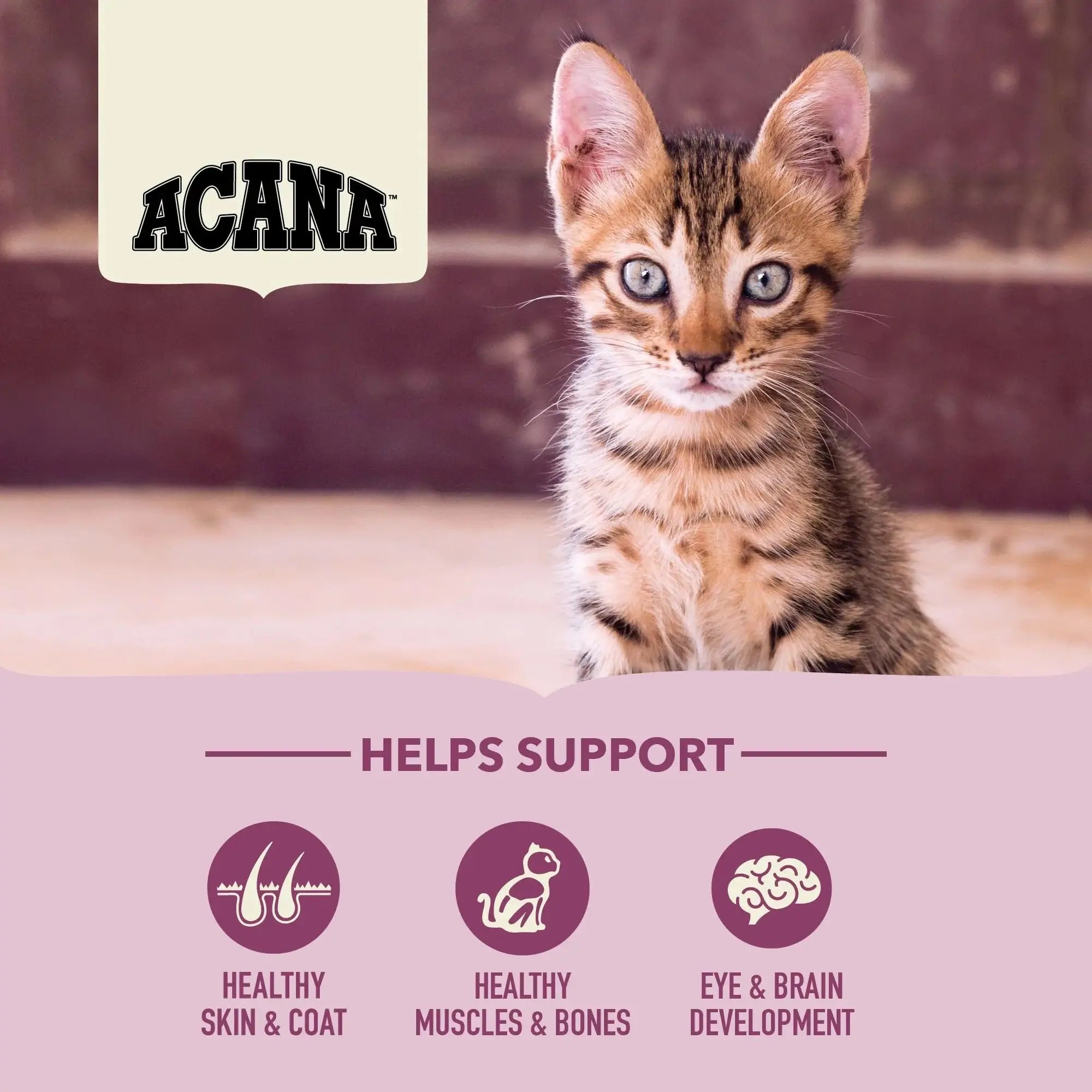 Acana Kitten First Feast - Torrfoder Till Katt 1,8kg