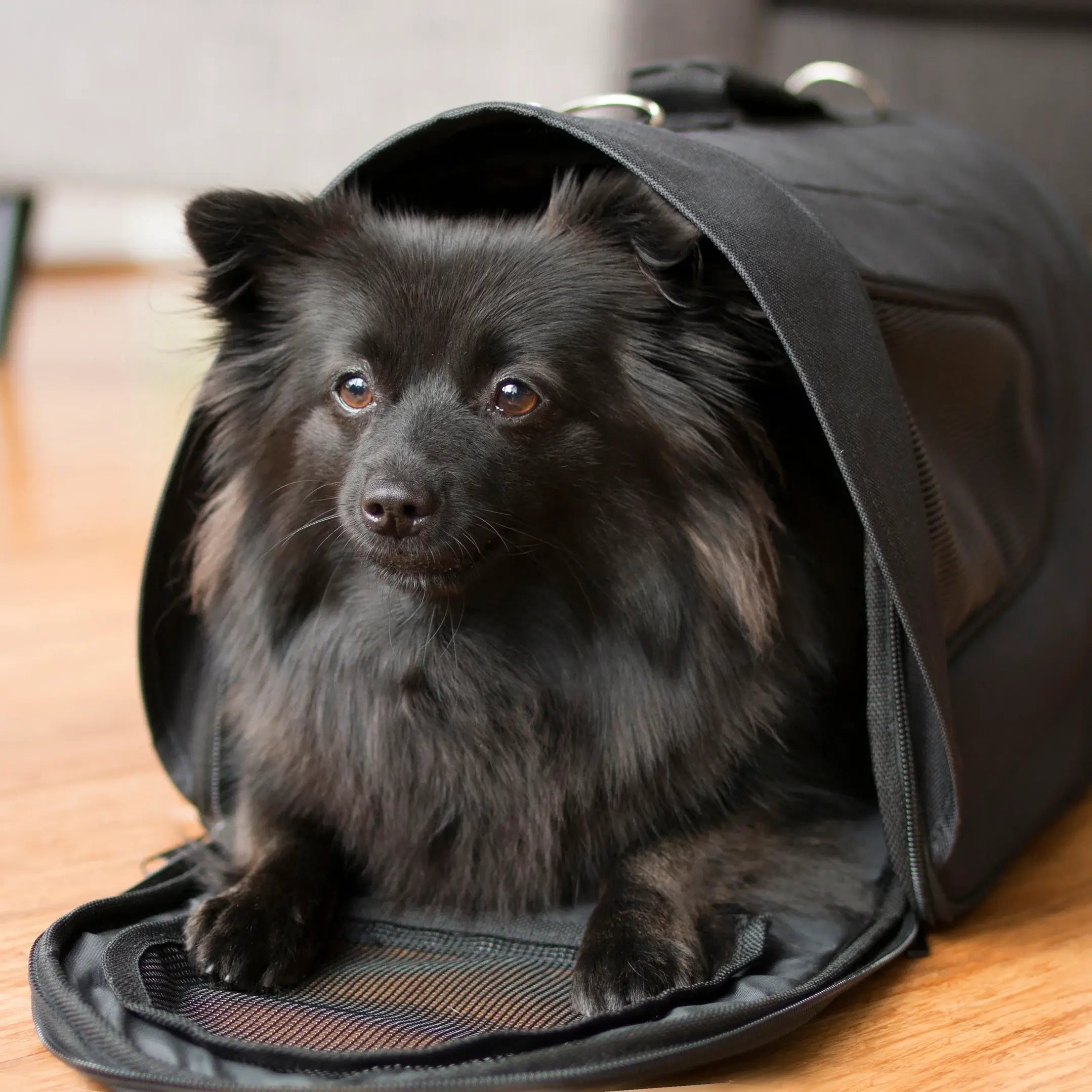 Dogman Bärväska Snobben Black