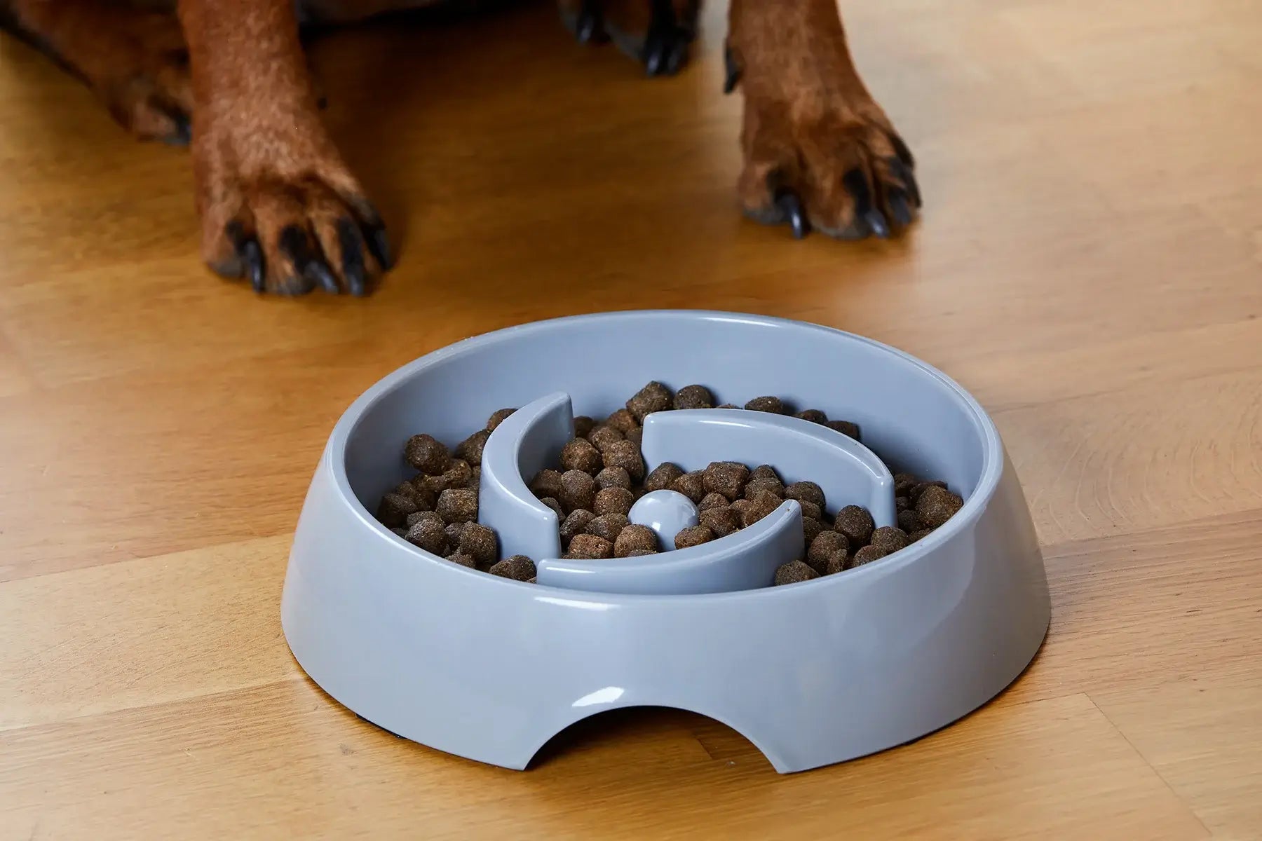 Dogman Matskål Alva Slow Feed