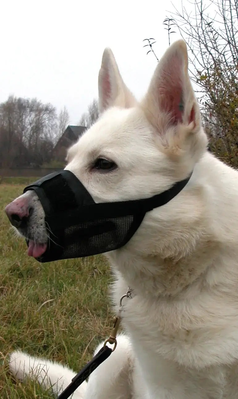 Dogman Mjuk Munkorg