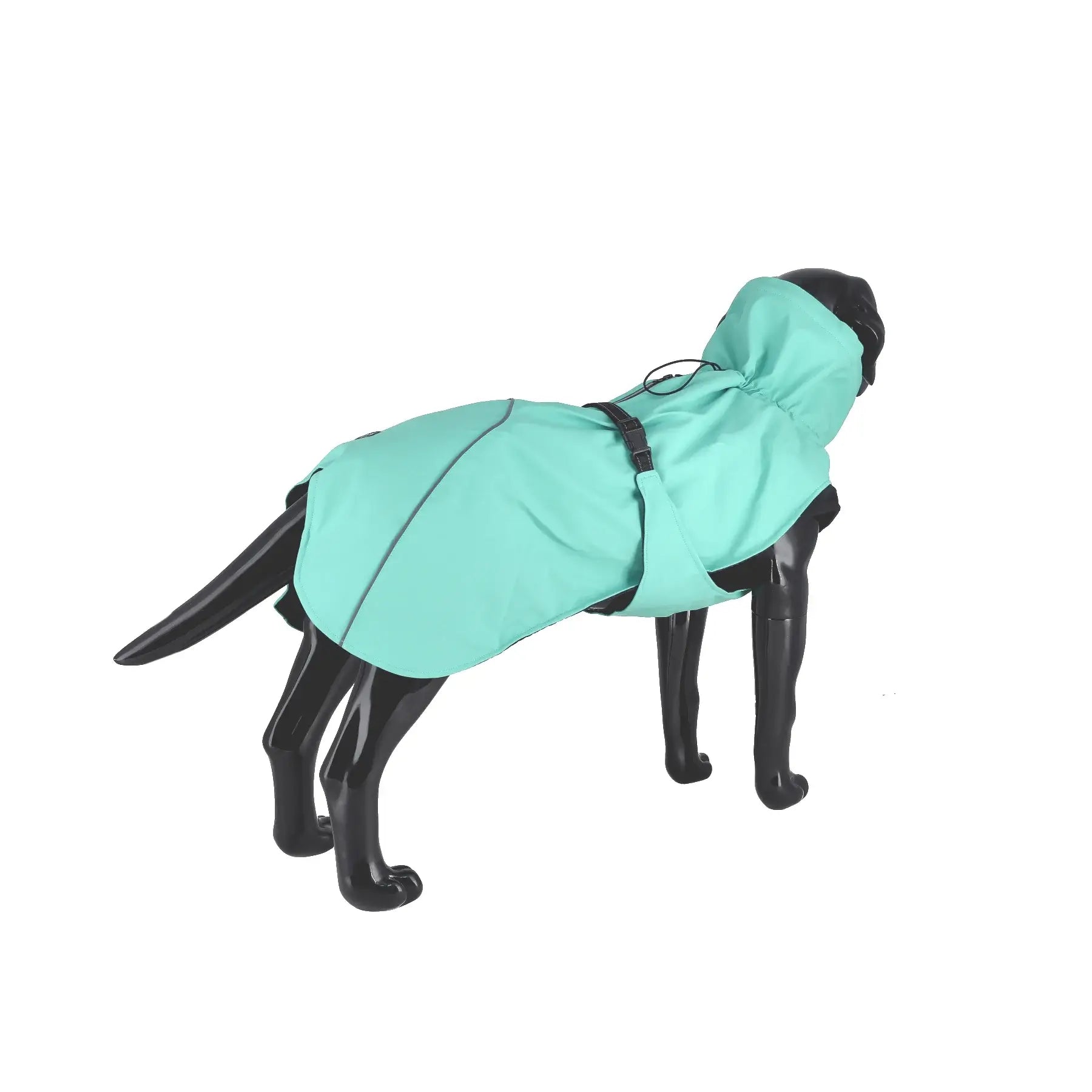 Dogman Regntäcke Aqua - Turkos