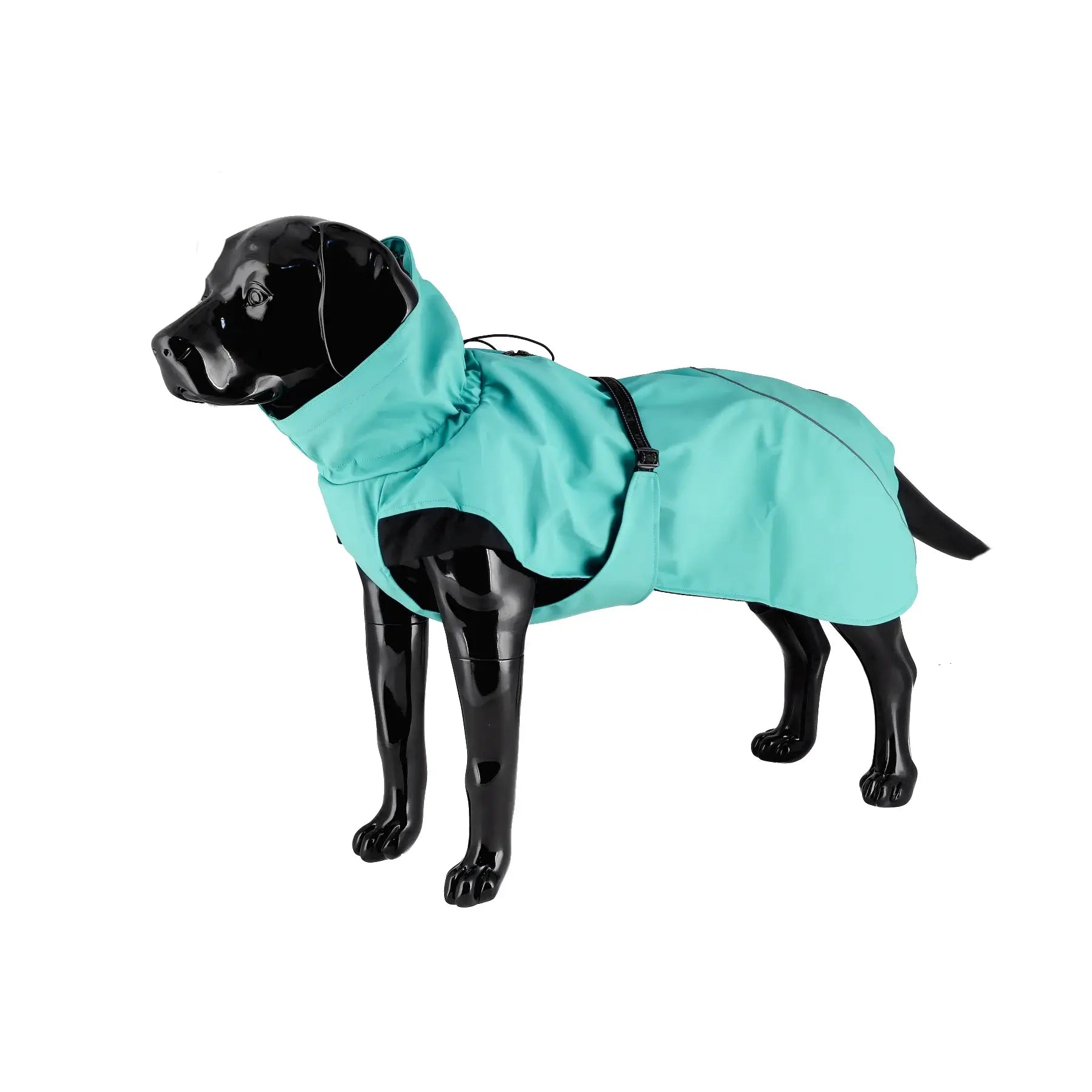Dogman Regntäcke Aqua - Turkos