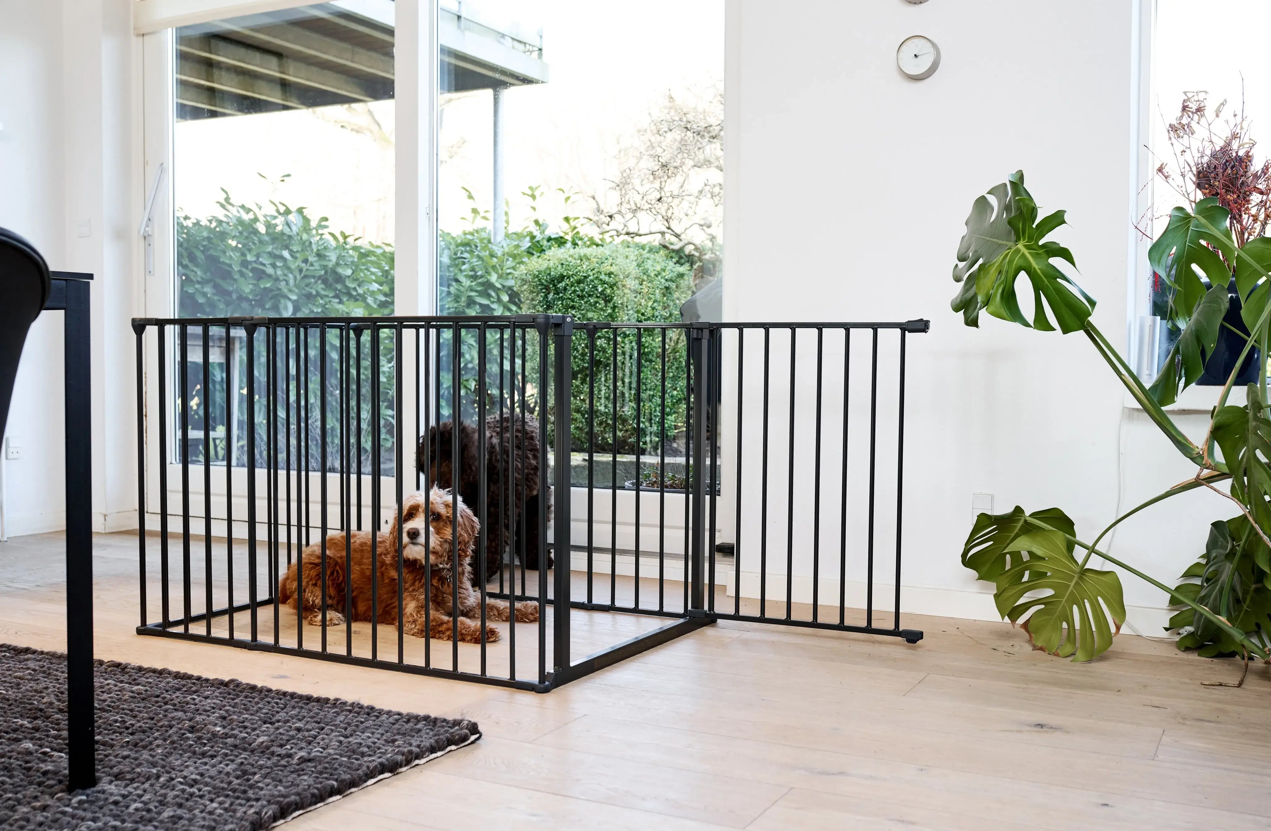 DogSpace Max Valphage Med Grind - Svart
