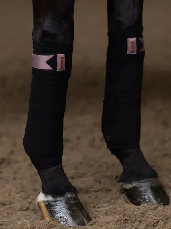 Equestrian Stockholm Benlindor - Anemone