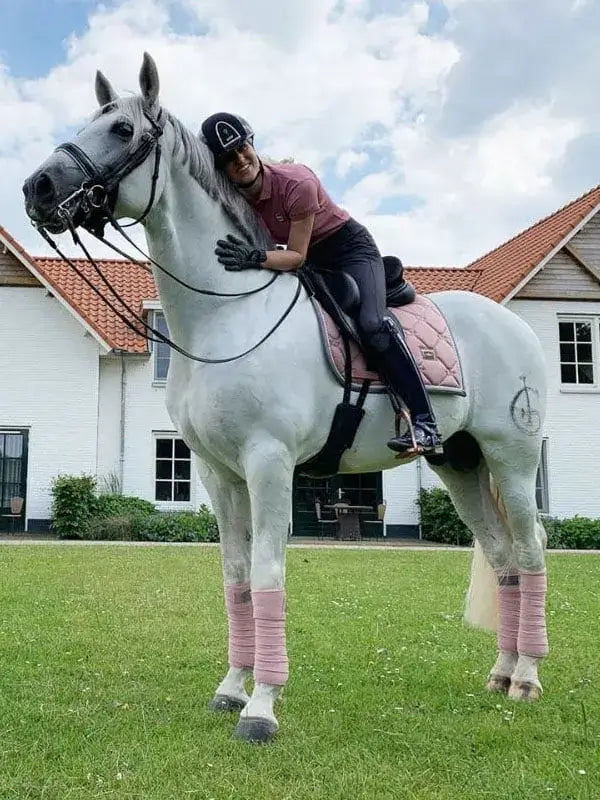 Equestrian Stockholm Benlindor - Pink