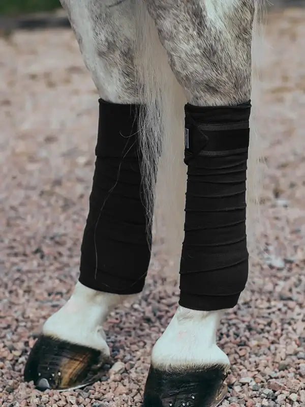 Equestrian Stockholm Benlindor - Black Edition