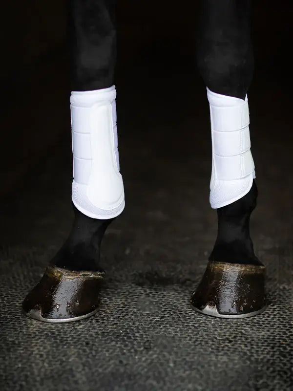 Equestrian Stockholm Classic Mesh Benskydd - Vit/Silver