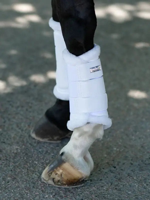 Equestrian Stockholm Benskydd - Vit/Silver