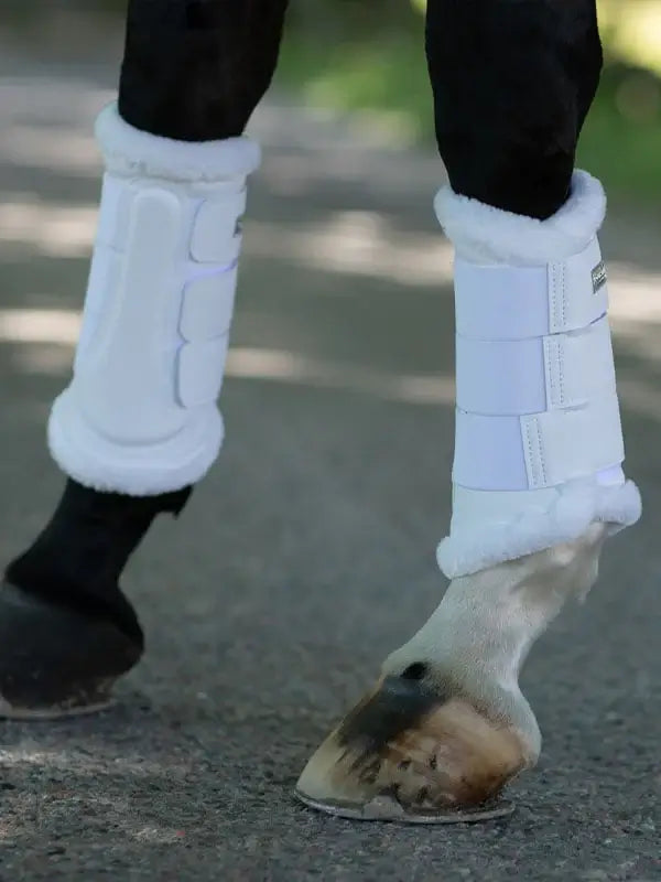 Equestrian Stockholm Benskydd - Vit/Silver