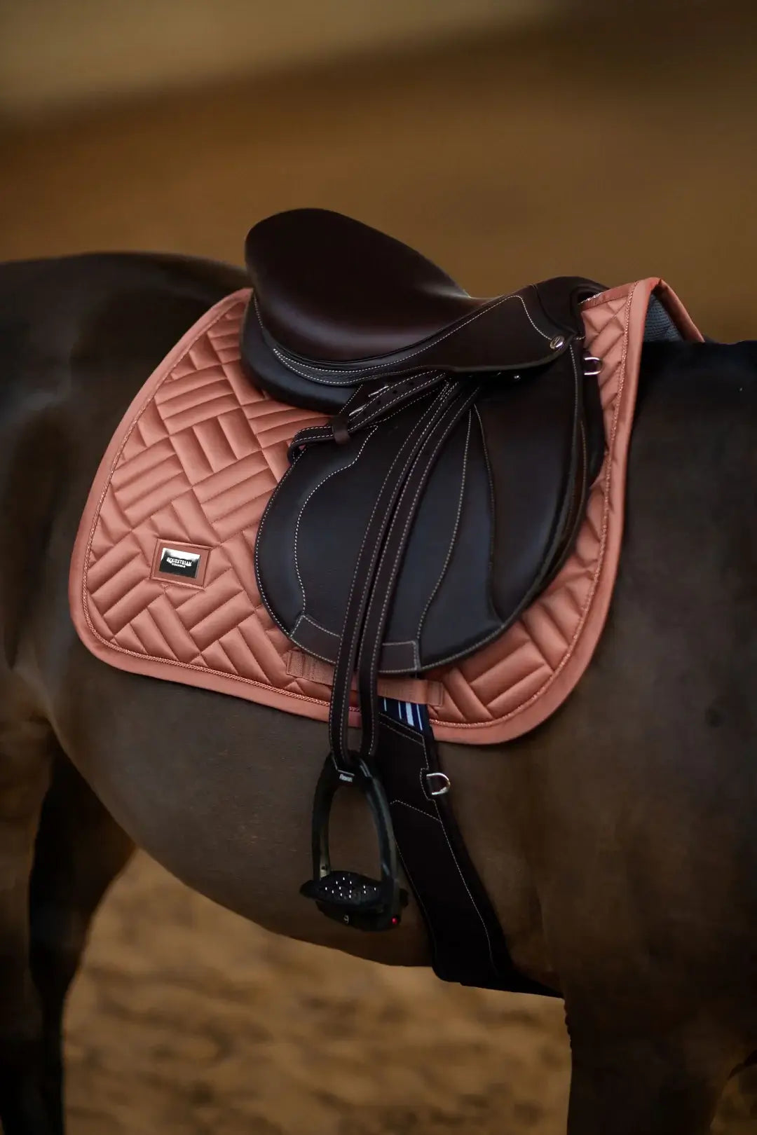 Equestrian Stockholm Hoppschabrak - Coral