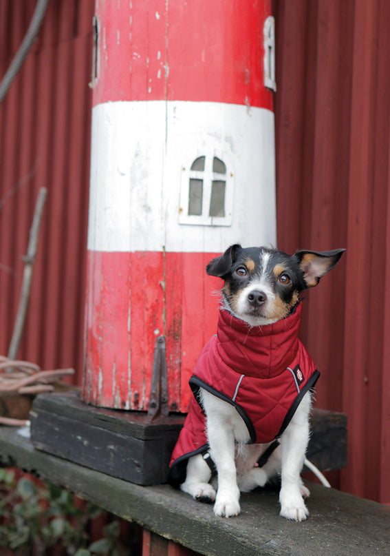 Trixie Minot hundtäcke - Röd