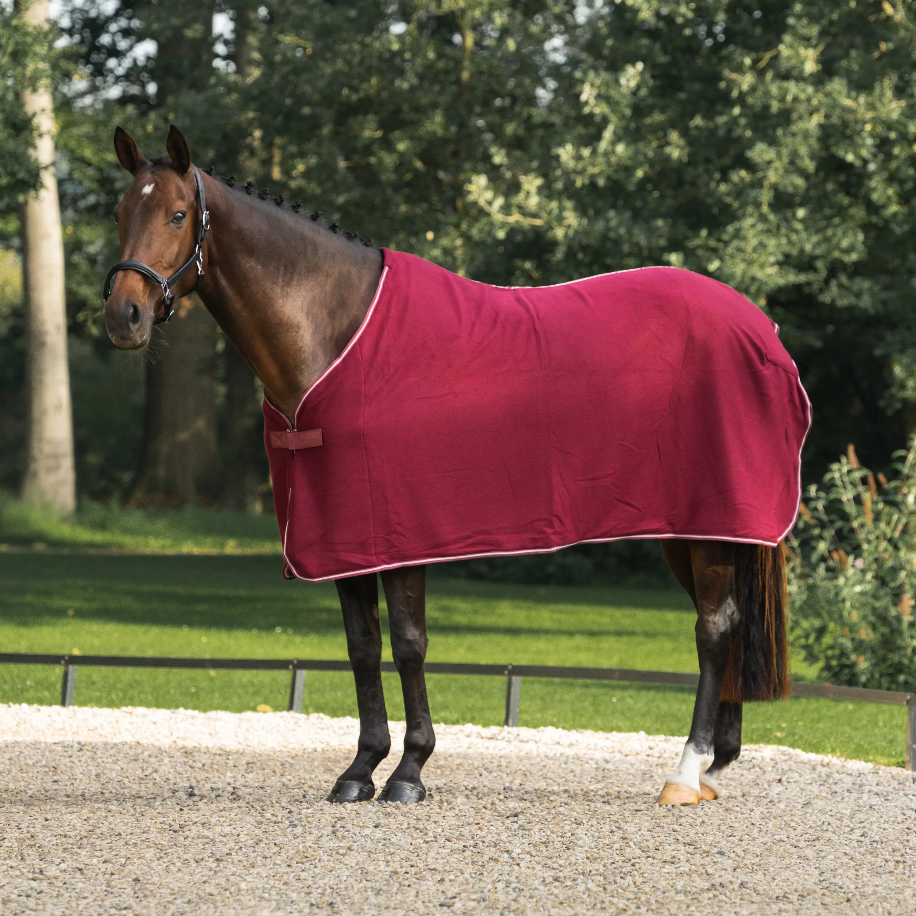 Horka Fleece Svettäcke Economy - Bordeaux