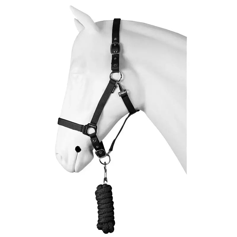 Horka Grimma med grimskaft 200 cm Dime - Svart