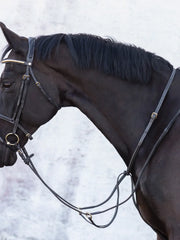 Jacson Cincinatti Martingal - Svart