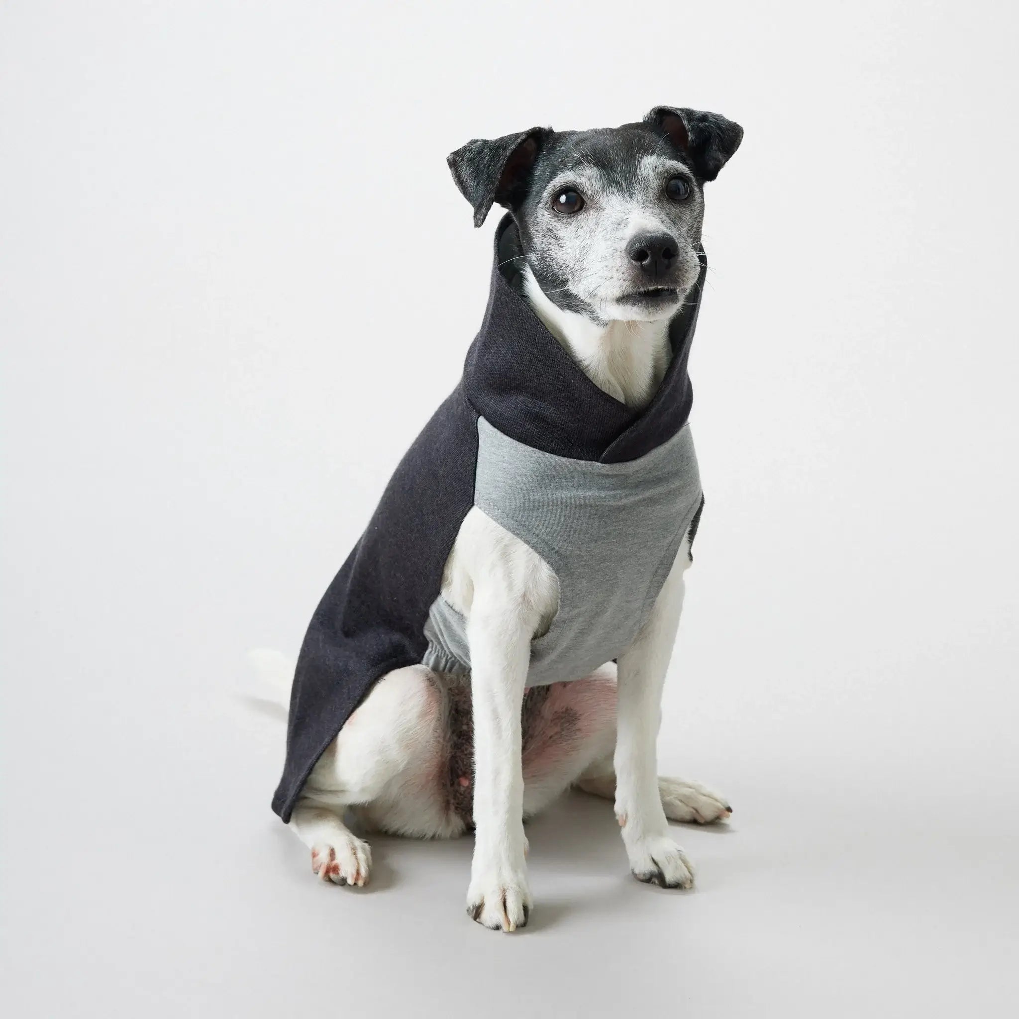 Paikka Recovery Winter Shirt Hundtröja - Grå